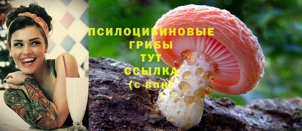 соль ск Болотное
