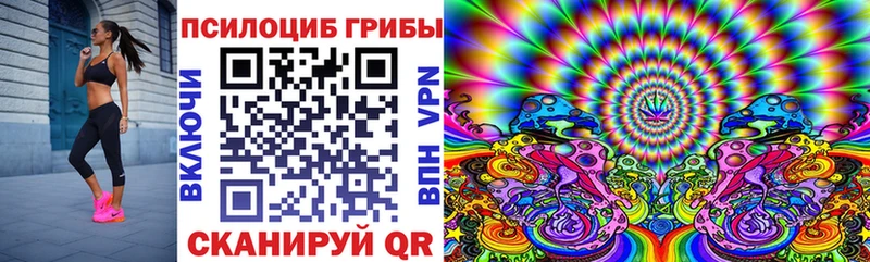 Галлюциногенные грибы Magic Shrooms  Тамбов 