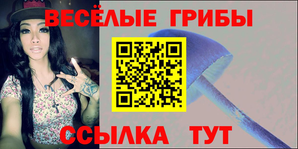 Псилоцибиновые грибы Psilocybe Тамбов
